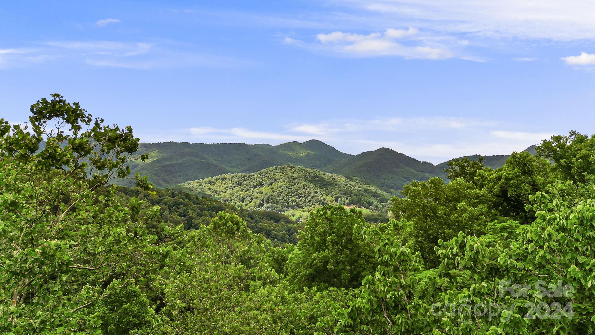 158 Sugar Cove Road Weaverville, NC 28787 - Photo 14 of 48 a view of a city with lush green forest