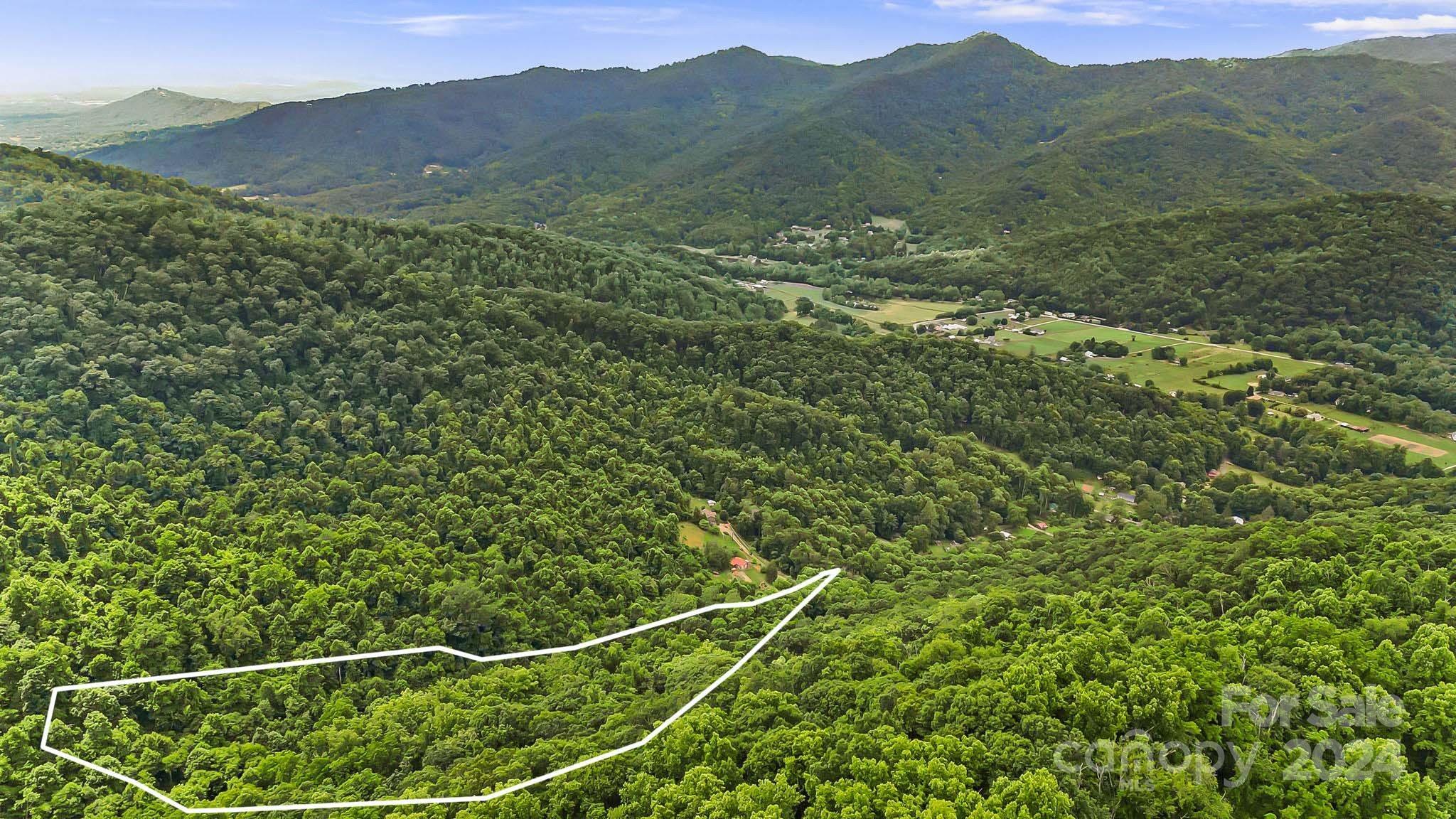 158 Sugar Cove Road Weaverville, NC 28787 - Photo 15 of 48 a view of a forest with a forest