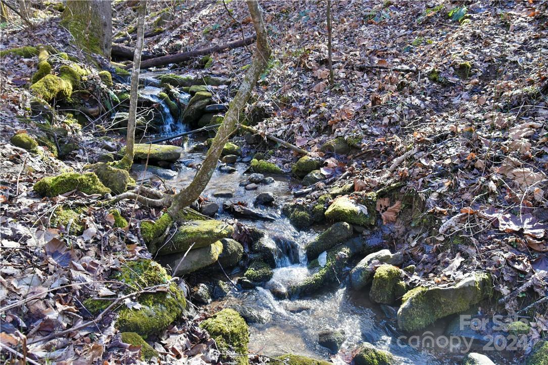 158 Sugar Cove Road Weaverville, NC 28787 - Photo 18 of 48 a picture of tree