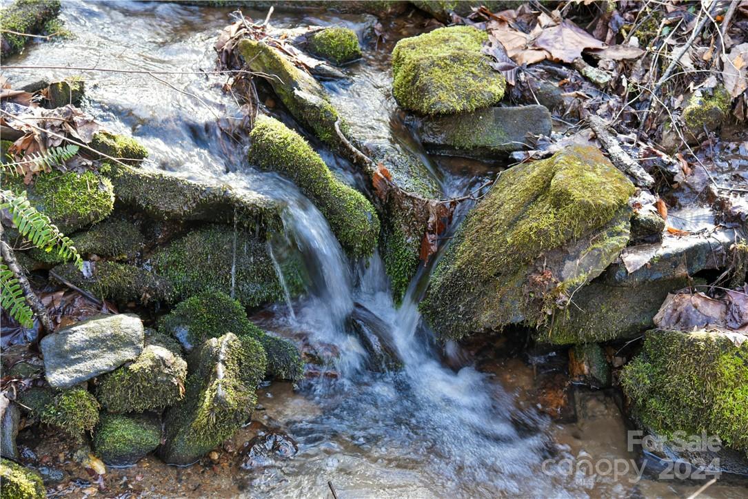 158 Sugar Cove Road Weaverville, NC 28787 - Photo 19 of 48 a view of banana tree