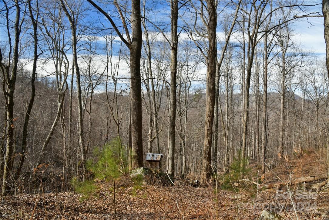 158 Sugar Cove Road Weaverville, NC 28787 - Photo 26 of 48 a backyard of a house with lots of green space