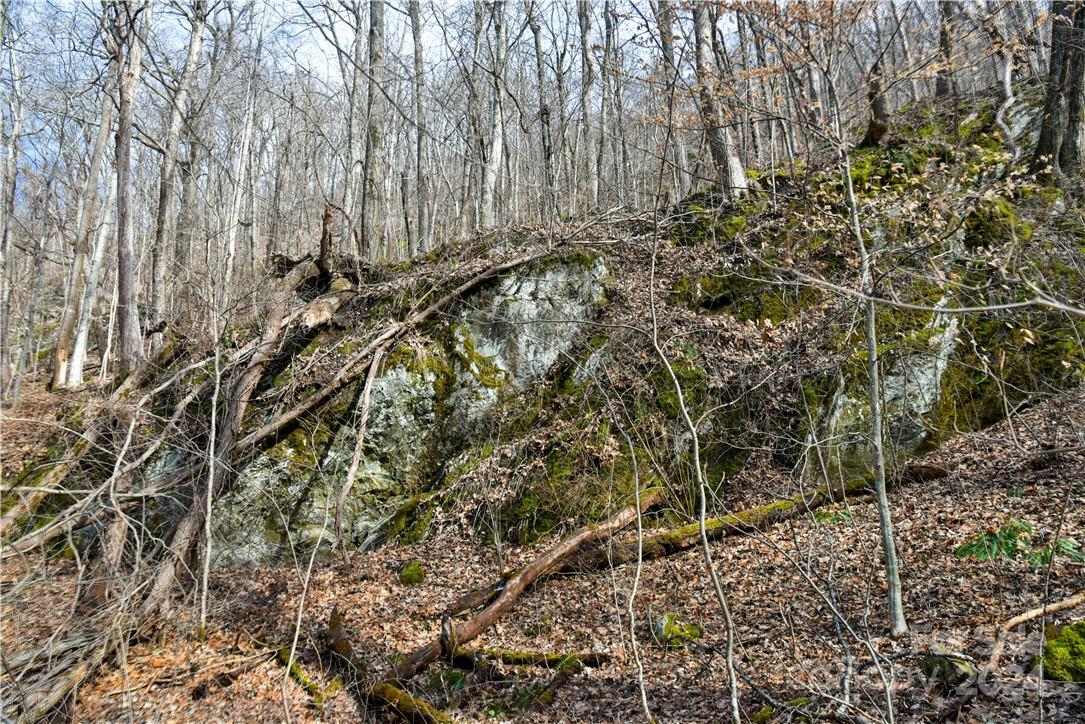 158 Sugar Cove Road Weaverville, NC 28787 - Photo 28 of 48 a view of a yard with wooden fence