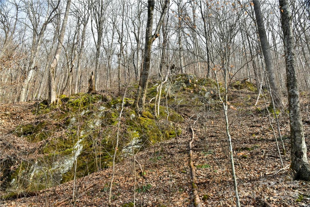 158 Sugar Cove Road Weaverville, NC 28787 - Photo 29 of 48 a bathroom with a shower