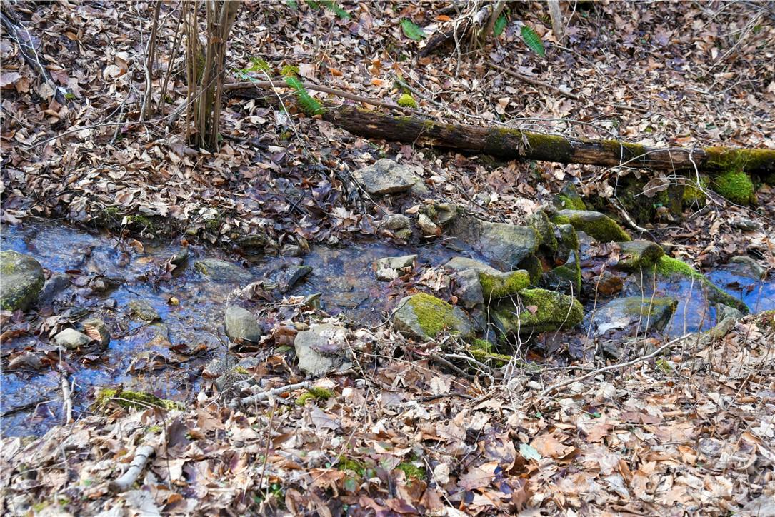 158 Sugar Cove Road Weaverville, NC 28787 - Photo 30 of 48 a picture of trees