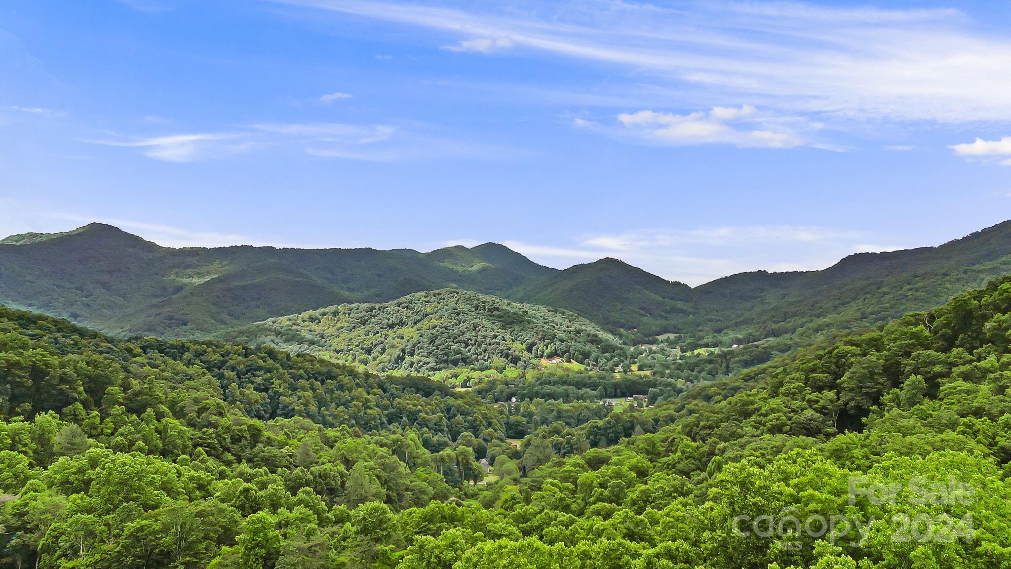 158 Sugar Cove Road Weaverville, NC 28787 - Photo 3 of 48 a view of a mountain range with lush green forest