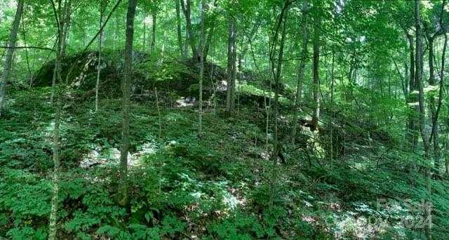 158 Sugar Cove Road Weaverville, NC 28787 - Photo 33 of 48