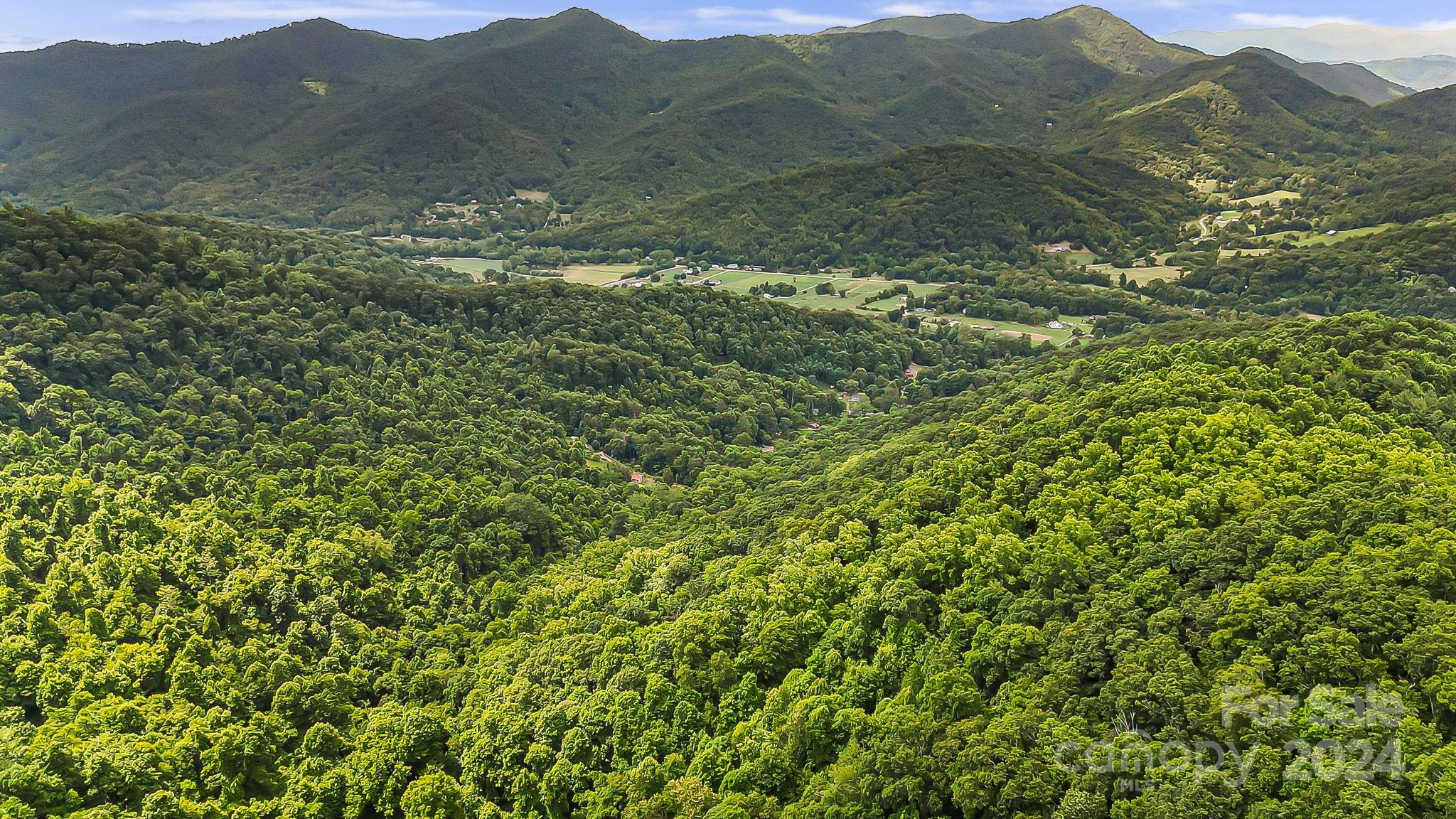 158 Sugar Cove Road Weaverville, NC 28787 - Photo 34 of 48 a view of mountain with green field