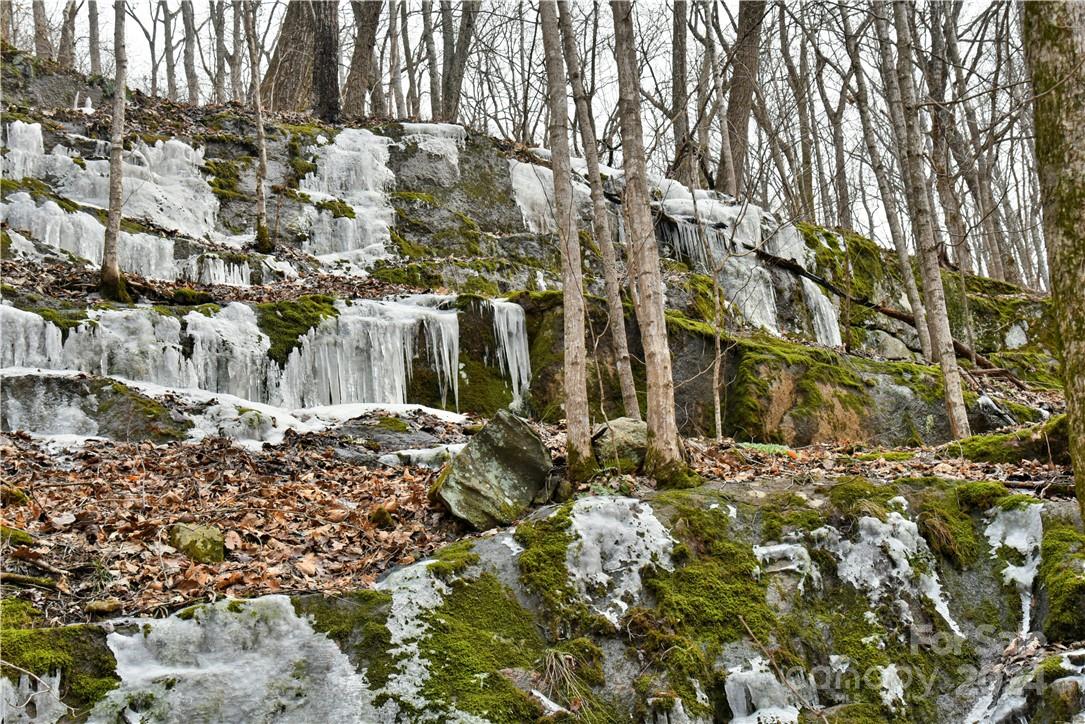 158 Sugar Cove Road Weaverville, NC 28787 - Photo 37 of 48