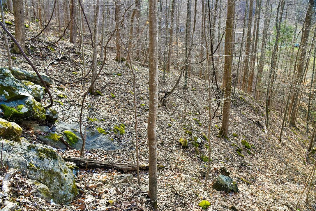 158 Sugar Cove Road Weaverville, NC 28787 - Photo 38 of 48 a view of a yard with plants and wooden fence