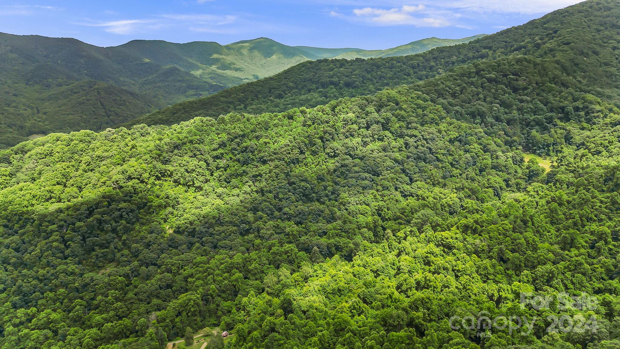 158 Sugar Cove Road Weaverville, NC 28787 - Photo 42 of 48 a view of a mountain range with lush green forest