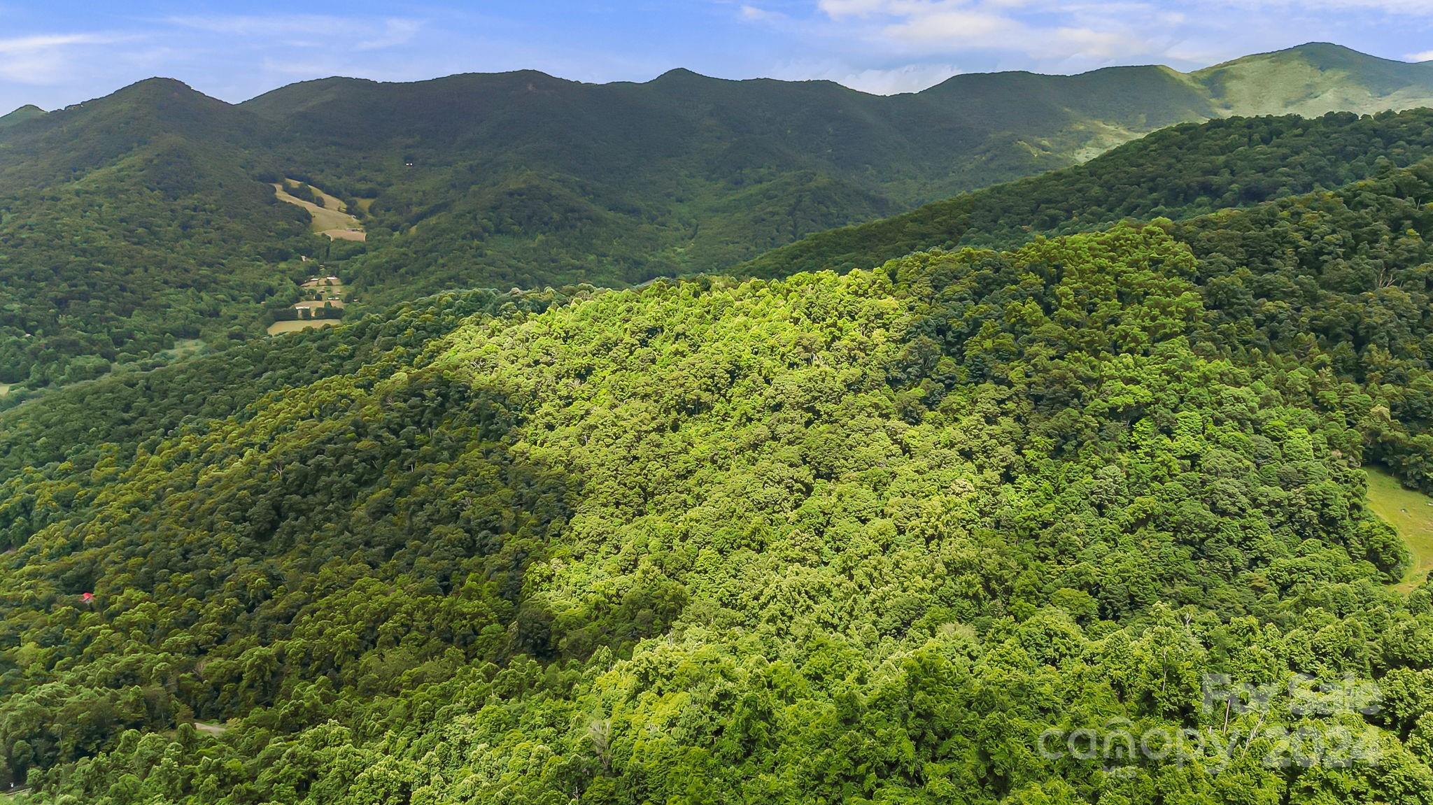 158 Sugar Cove Road Weaverville, NC 28787 - Photo 44 of 48 a view of a lush green field with a mountain in the background
