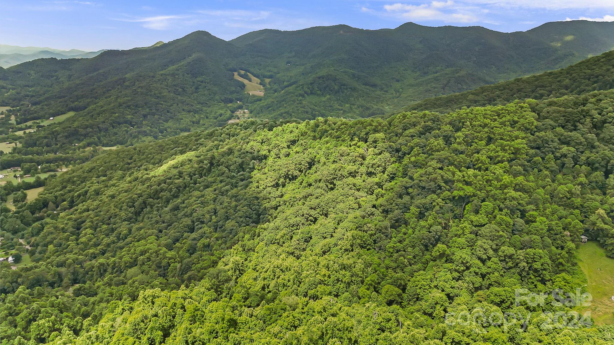 158 Sugar Cove Road Weaverville, NC 28787 - Photo 45 of 48 a view of a lush green hillside and a mountain
