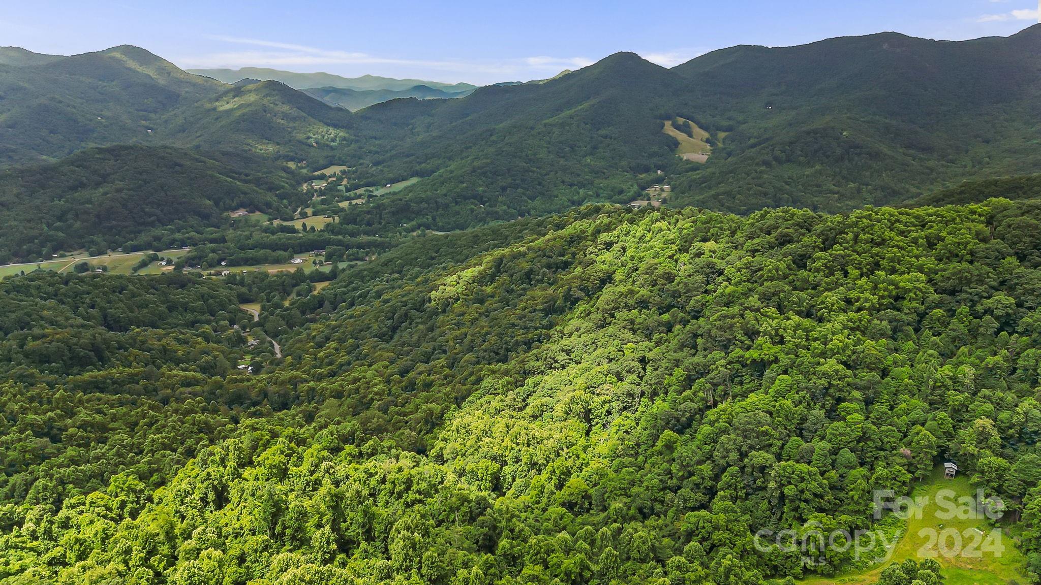 158 Sugar Cove Road Weaverville, NC 28787 - Photo 46 of 48 a view of a mountain range with lush green forest