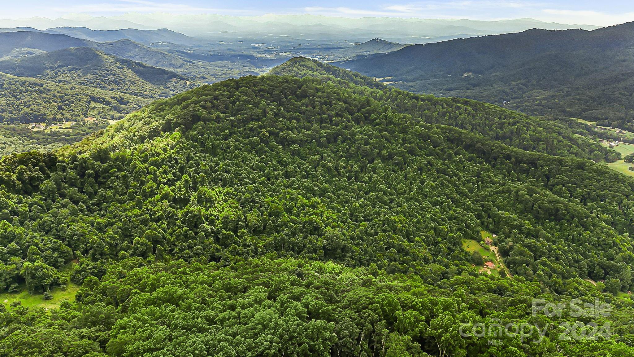 158 Sugar Cove Road Weaverville, NC 28787 - Photo 47 of 48 a view of a lush green hillside and a houses
