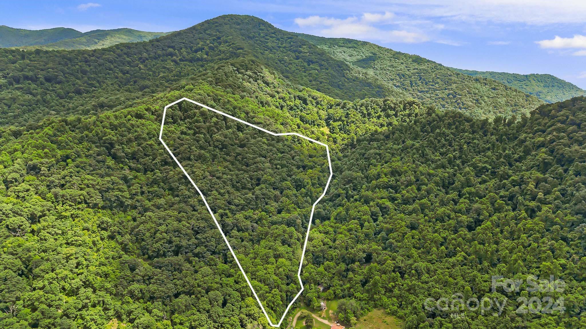 158 Sugar Cove Road Weaverville, NC 28787 - Photo 5 of 48 a view of a yard with a large tree