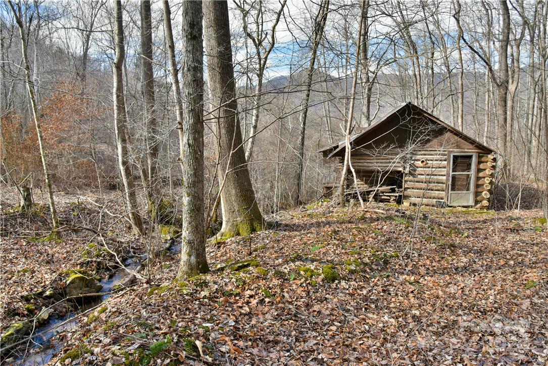 158 Sugar Cove Road Weaverville, NC 28787 - Photo 7 of 48 a front view of a house with garden