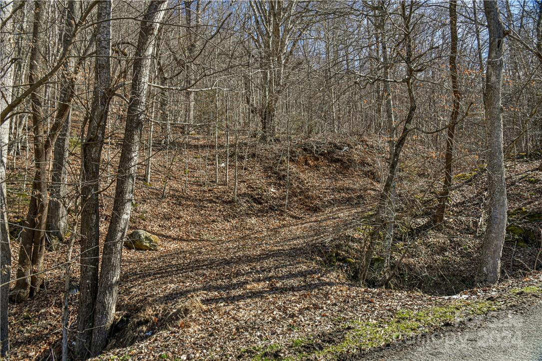 158 Sugar Cove Road Weaverville, NC 28787 - Photo 8 of 48 a view of a yard with large trees