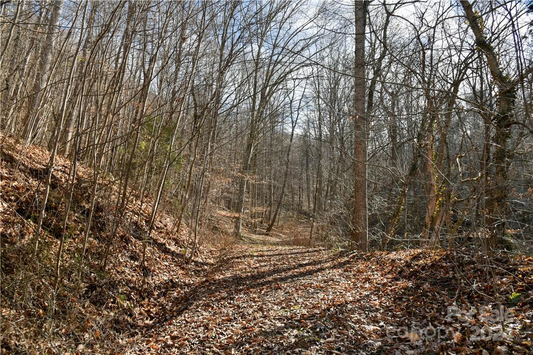 158 Sugar Cove Road Weaverville, NC 28787 - Photo 9 of 48 a backyard of a house with lots of green space