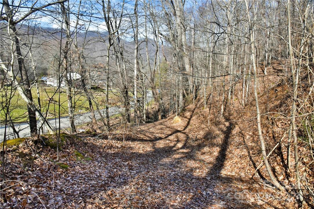 158 Sugar Cove Road Weaverville, NC 28787 - Photo 10 of 48 a backyard of a house