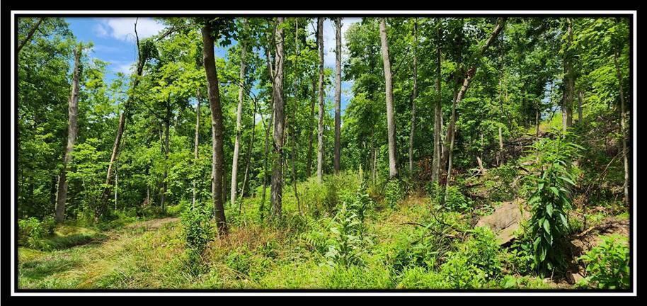 0 Featherstone Road Stewart, OH 45778 - Photo 21 of 72 image022