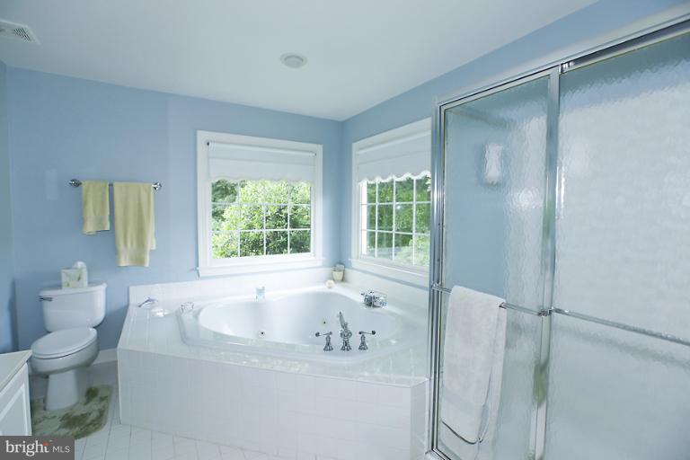 1112 Round Pebble Lane Reston, VA 20194 - Photo 24 of 26 Bath (Master)