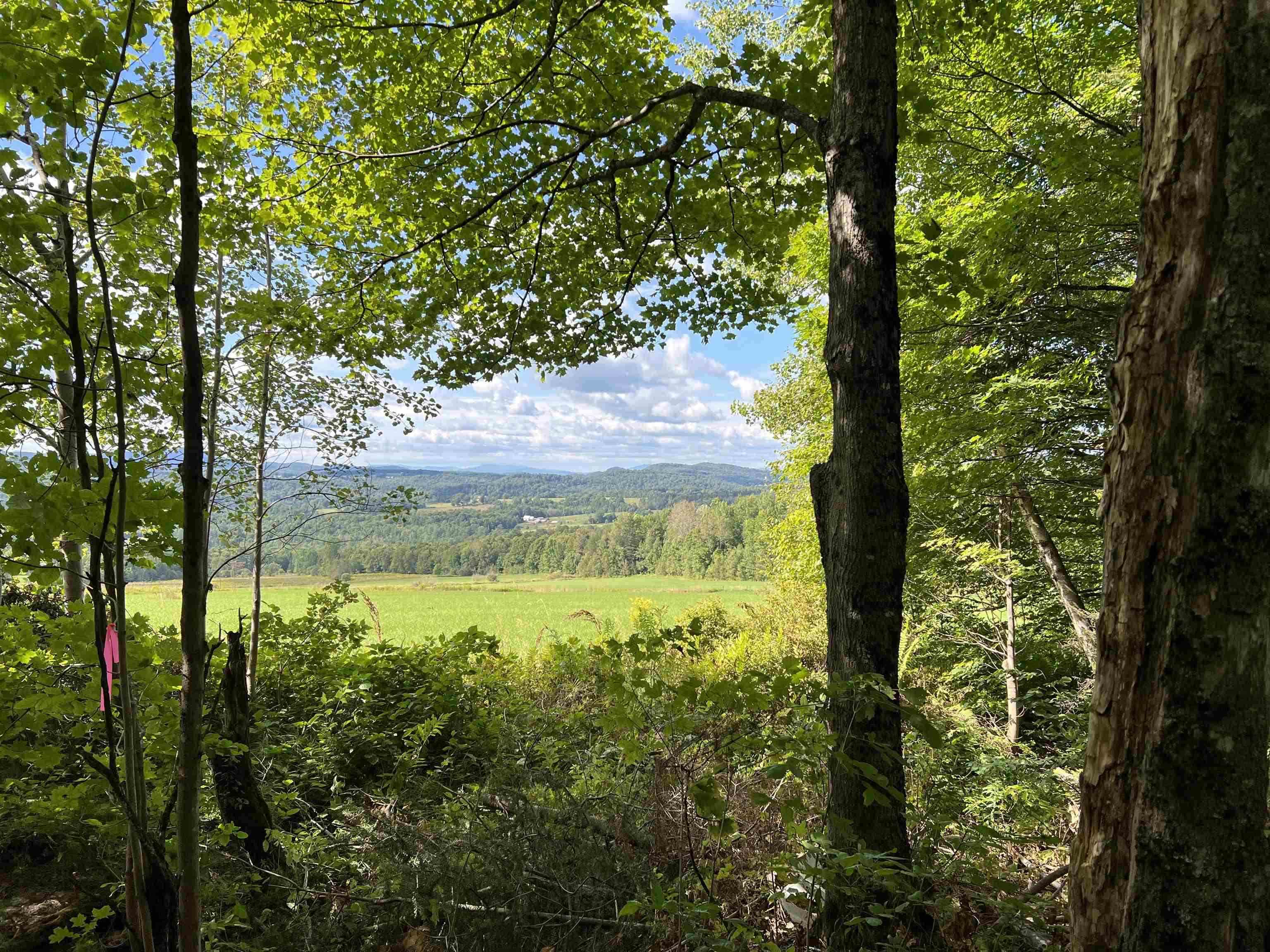 0 Danville Hill Road Cabot, VT 05647 - Photo 1 of 6
