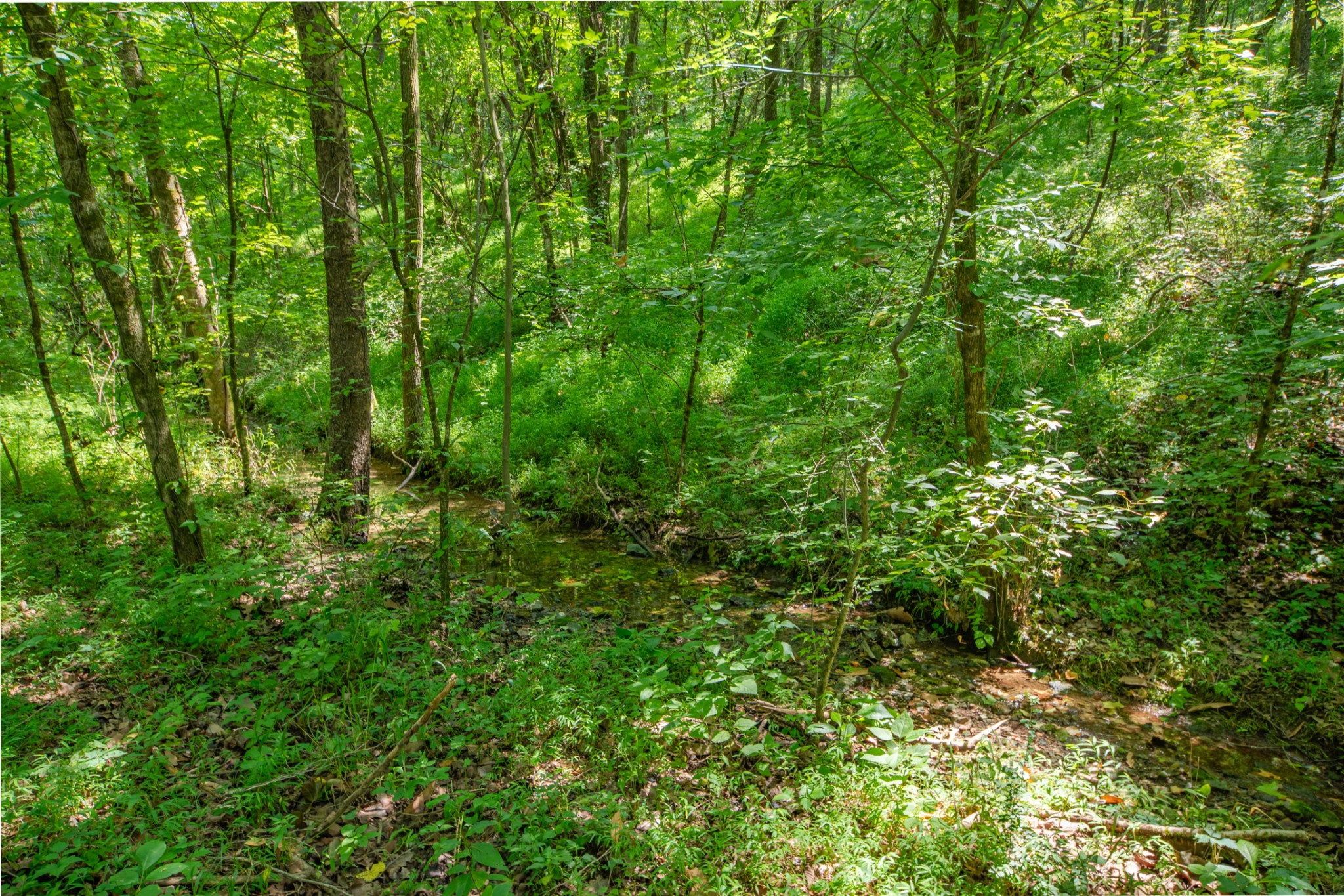 1700 Allen Brown Road Lewisburg, TN 37091 - Photo 51 of 80