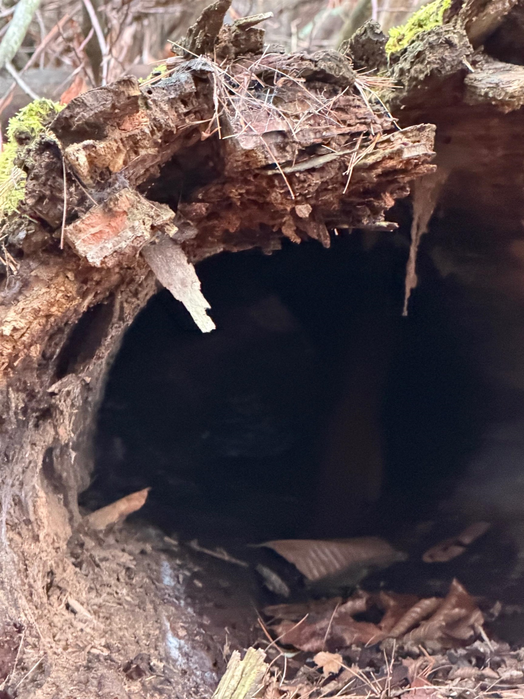 334 North Cambridge Road Cambridge, VT 05444 - Photo 11 of 18