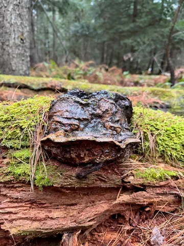 $199,900 | 416 North Cambridge Road, Cambridge, VT 05444