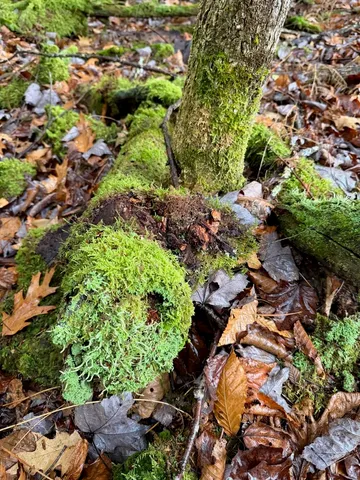 $199,900 | 416 North Cambridge Road, Cambridge, VT 05444