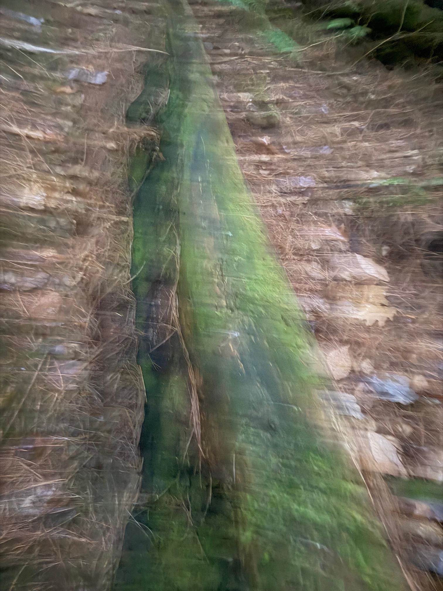 334 North Cambridge Road Cambridge, VT 05444 - Photo 15 of 18