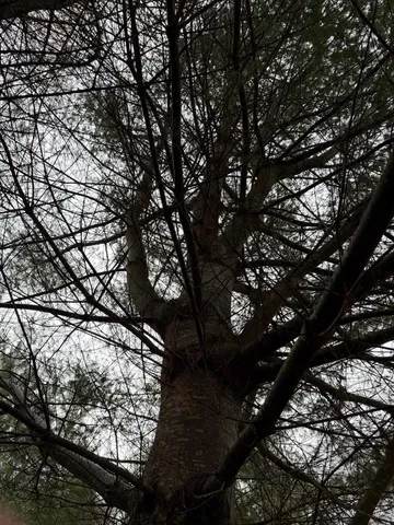 $199,900 | 416 North Cambridge Road, Cambridge, VT 05444