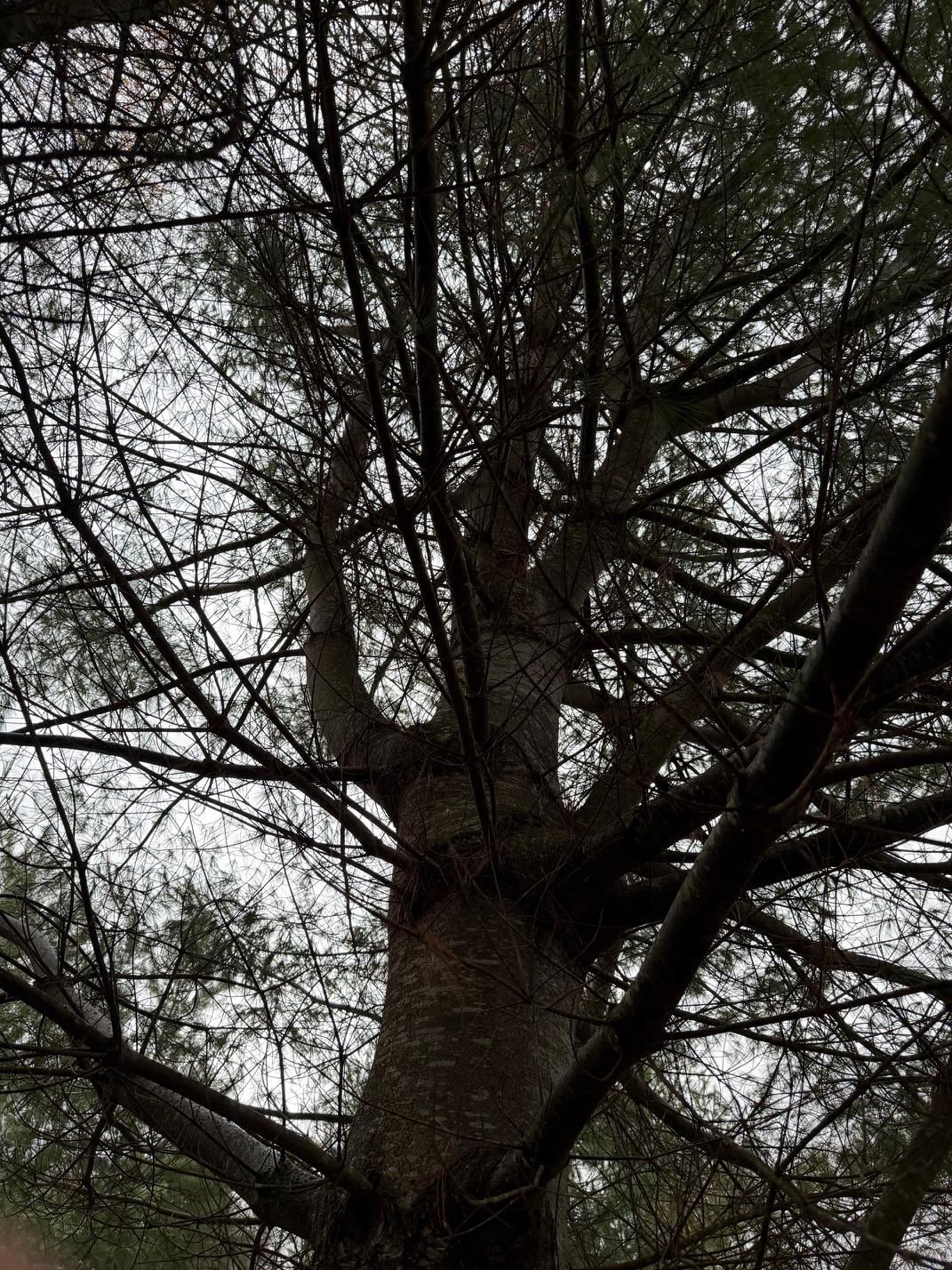 334 North Cambridge Road Cambridge, VT 05444 - Photo 16 of 18