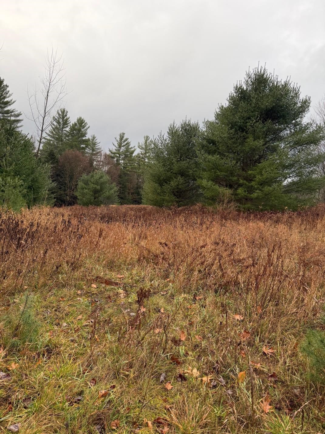 334 North Cambridge Road Cambridge, VT 05444 - Photo 3 of 18