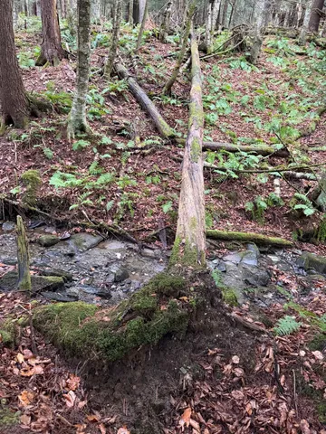 $199,900 | 416 North Cambridge Road, Cambridge, VT 05444