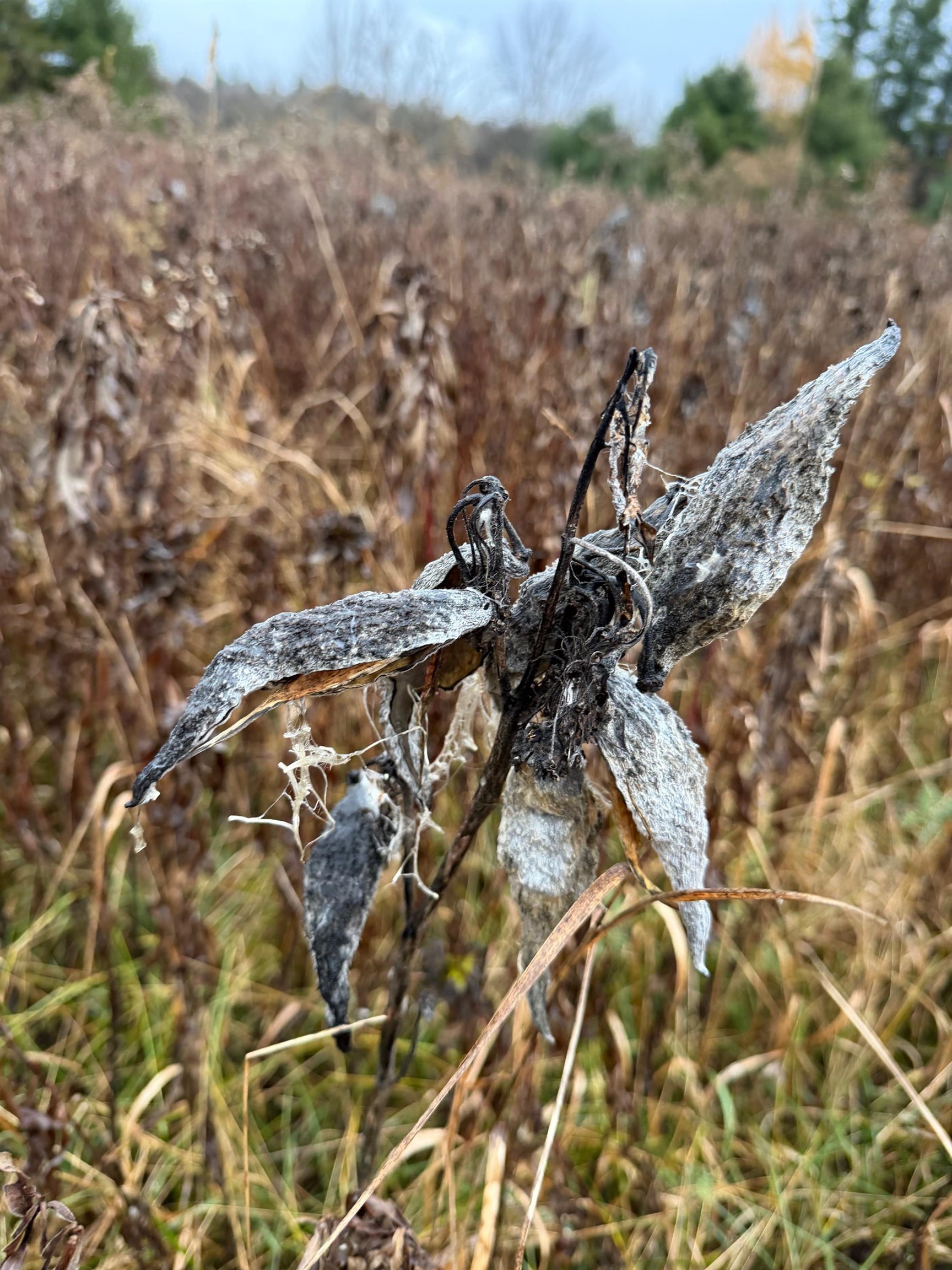 334 North Cambridge Road Cambridge, VT 05444 - Photo 5 of 18