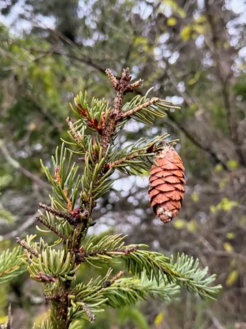 $199,900 | 416 North Cambridge Road, Cambridge, VT 05444