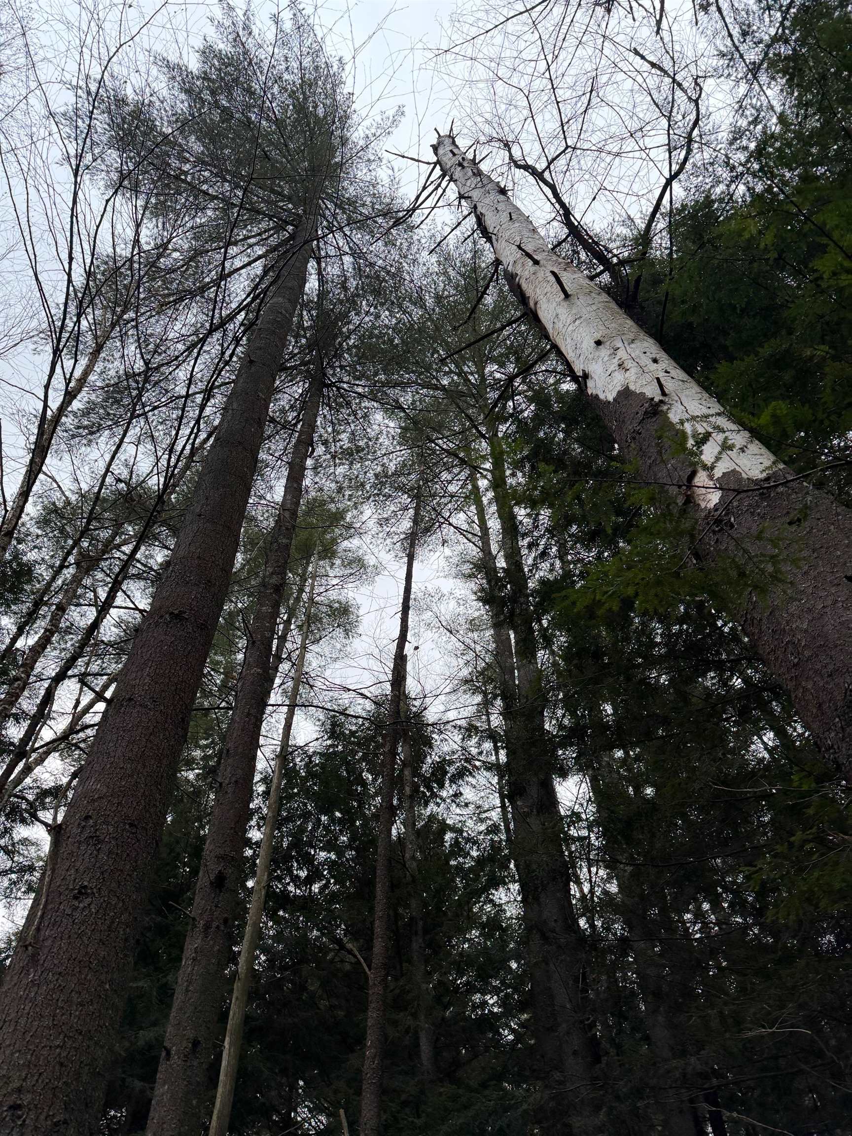 334 North Cambridge Road Cambridge, VT 05444 - Photo 7 of 18