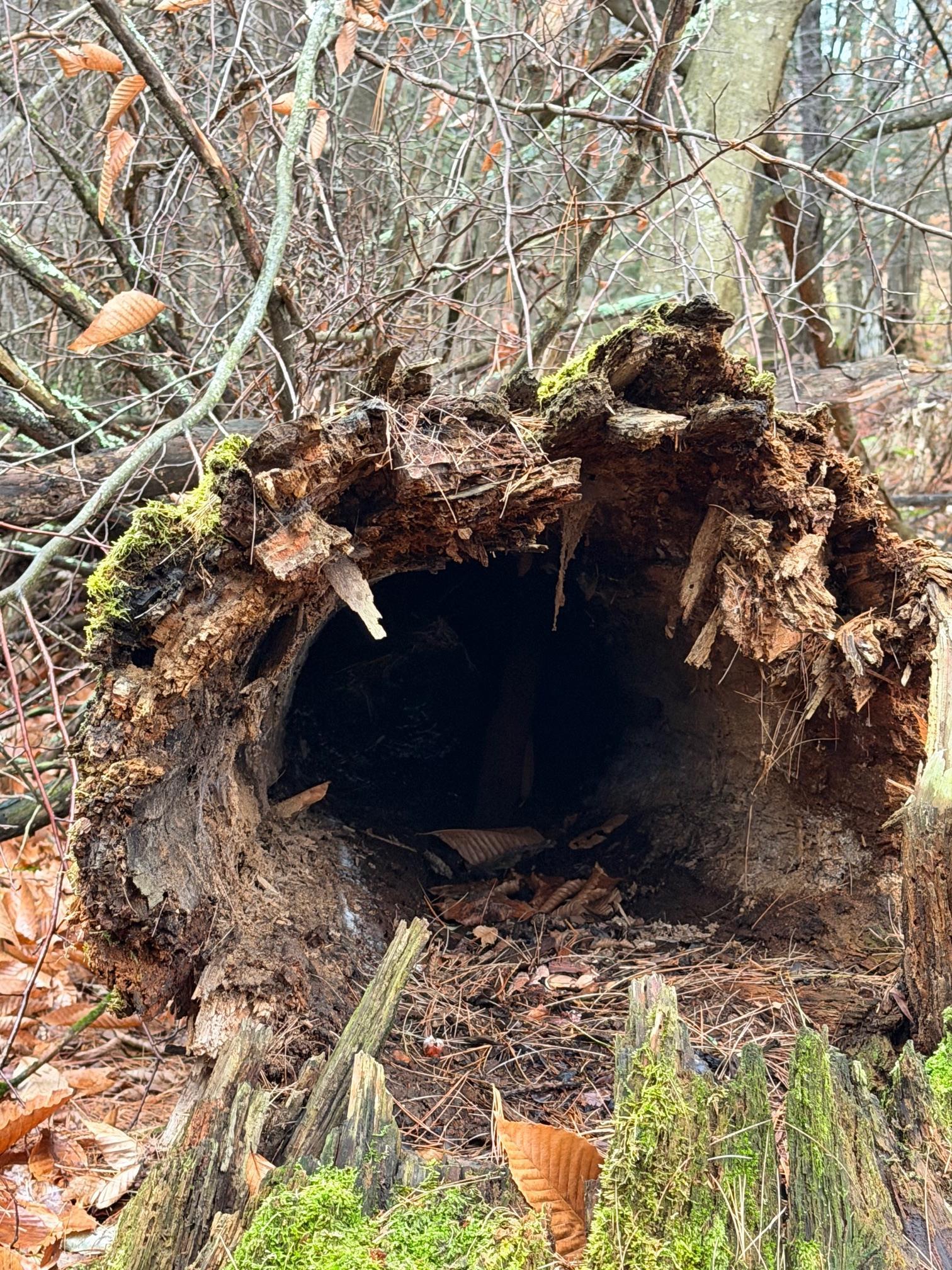 334 North Cambridge Road Cambridge, VT 05444 - Photo 10 of 18