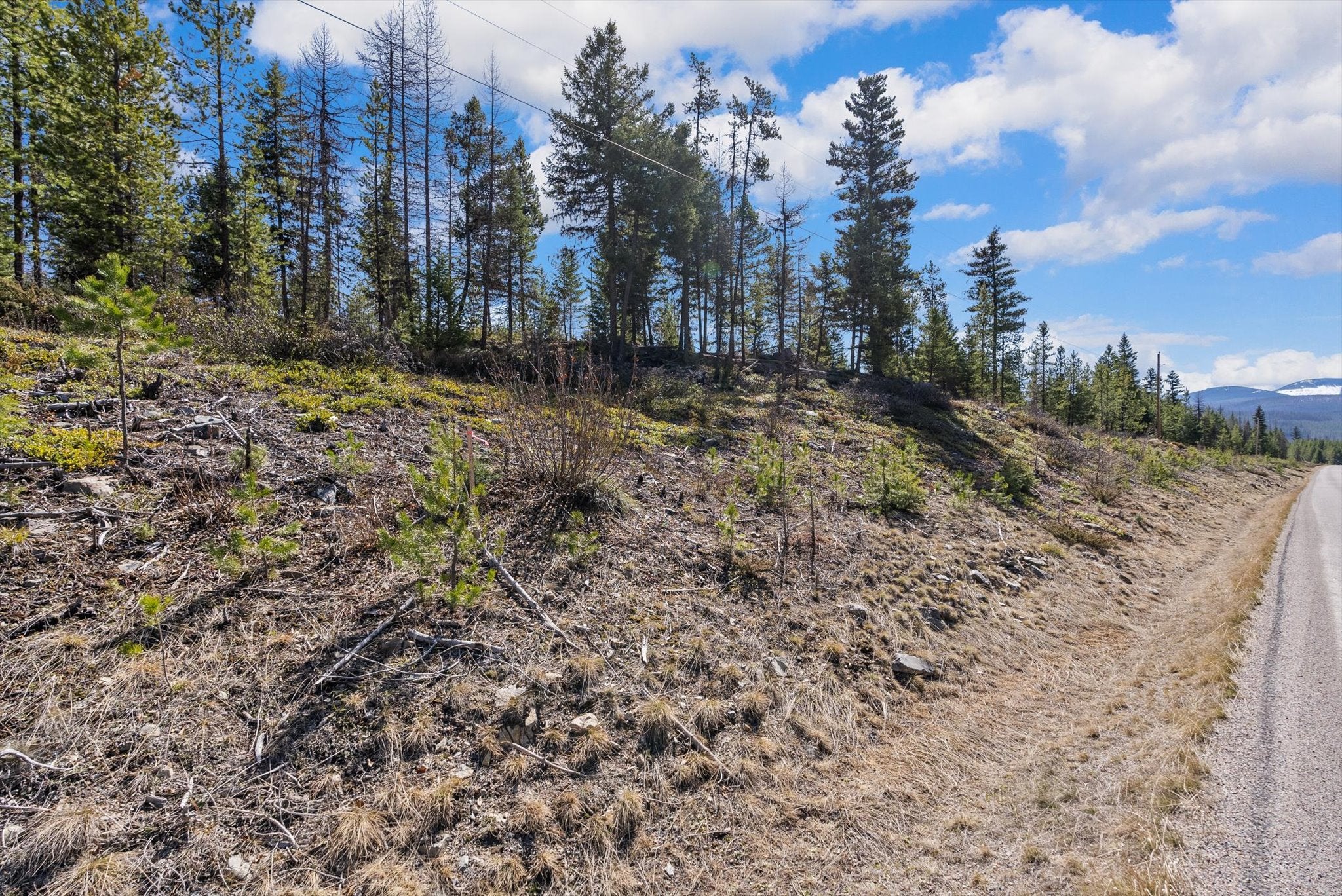 1034 View Ridge Marion, MT 59925 - Photo 17 of 21 Gallery Image 17