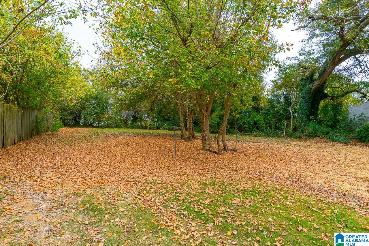3708 Perry Street Guntersville, AL 35976 - Photo 6 of 29