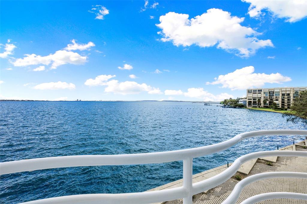4950 Bayshore Boulevard, Unit 23 Tampa, FL 33611 - Photo 23 of 40 a view of outdoor space and yard
