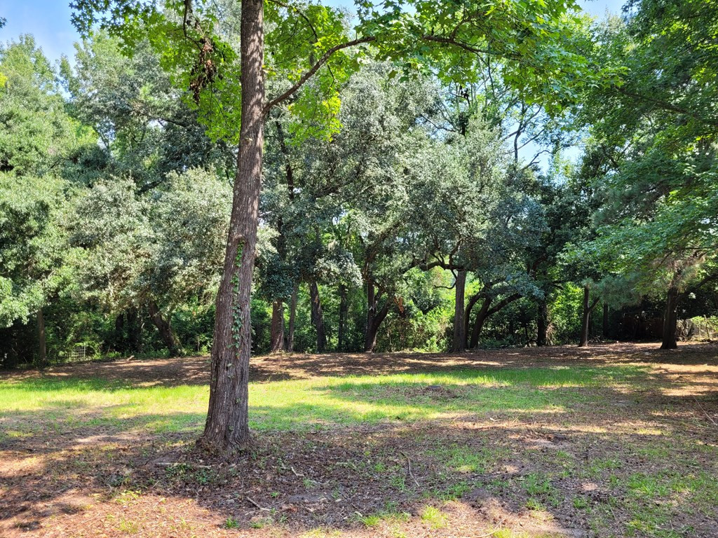 5770 OakHill Road Sumter, SC 29154 - Photo 4 of 50 Gallery Image 4