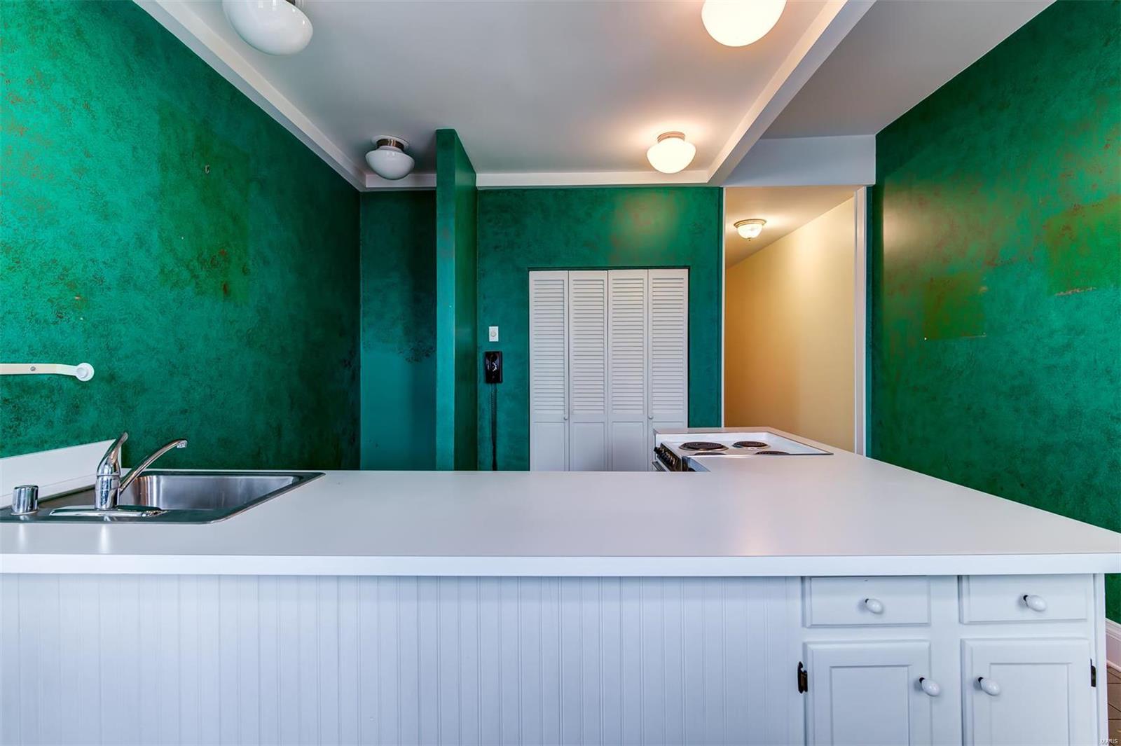1829 Rutger Street St. Louis, MO 63104 - Photo 19 of 34 Gallery Image 19