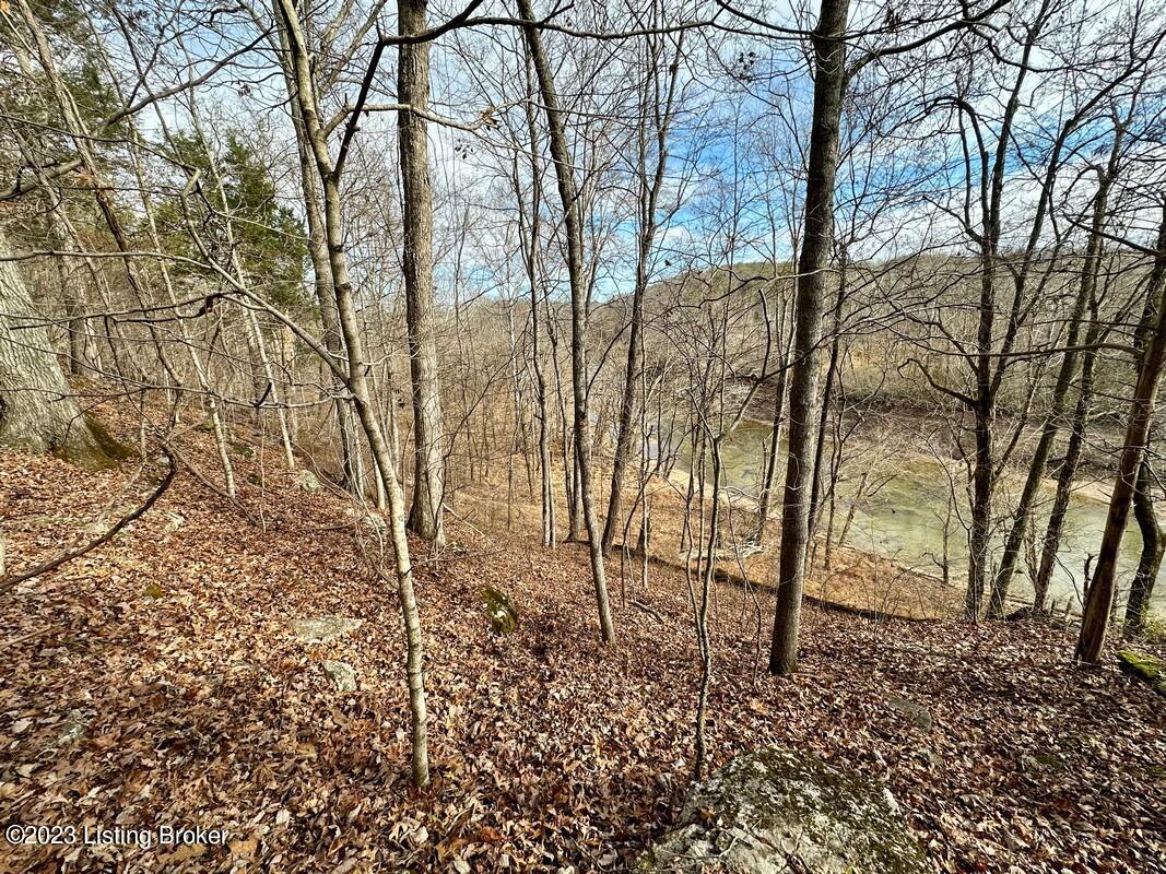 L34 Ted Logsdon Road Clarkson, KY 42726 - Photo 18 of 18 Image00024