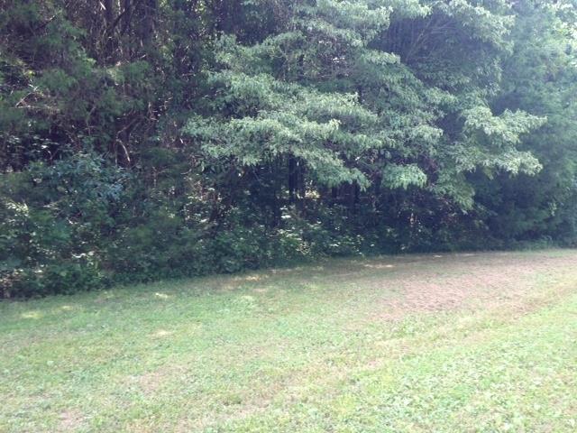 510 Crossvine Road Sparta, TN 38583 - Photo 1 of 4 a view of a yard