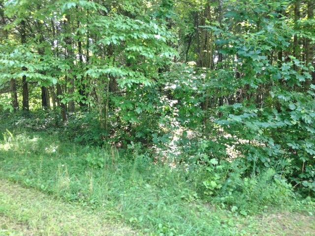 510 Crossvine Road Sparta, TN 38583 - Photo 3 of 4 a view of a lush green forest