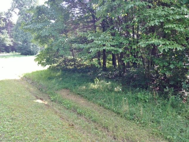 510 Crossvine Road Sparta, TN 38583 - Photo 4 of 4 a big yard with lots of green space and plants