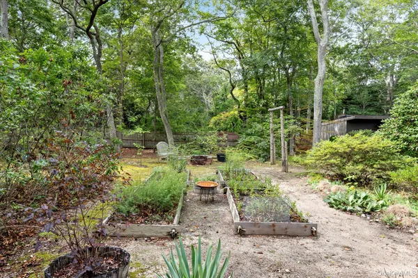 a view of yard