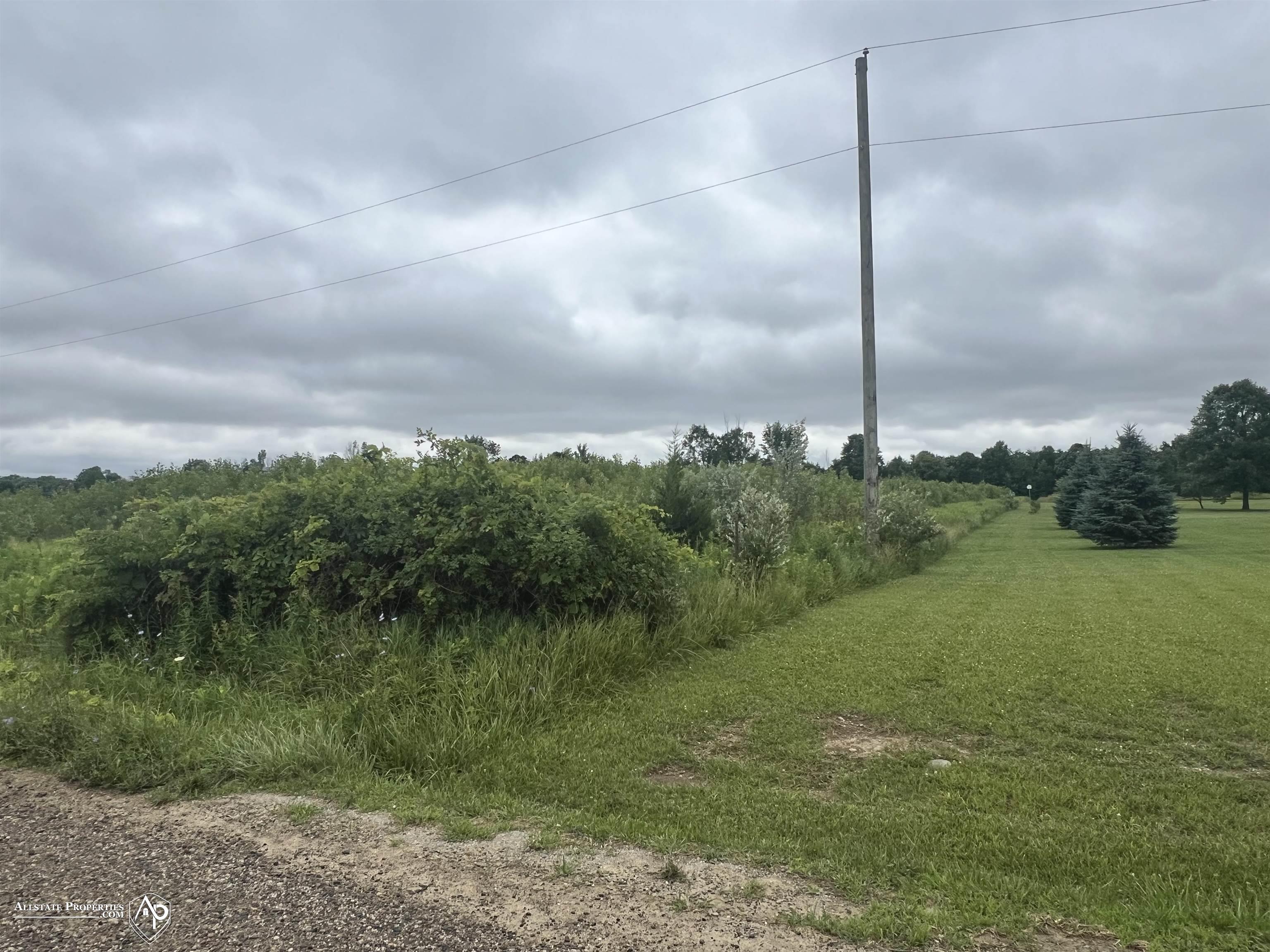 Vl Vl Mt View Road Lapeer, MI 48446 - Photo 4 of 4